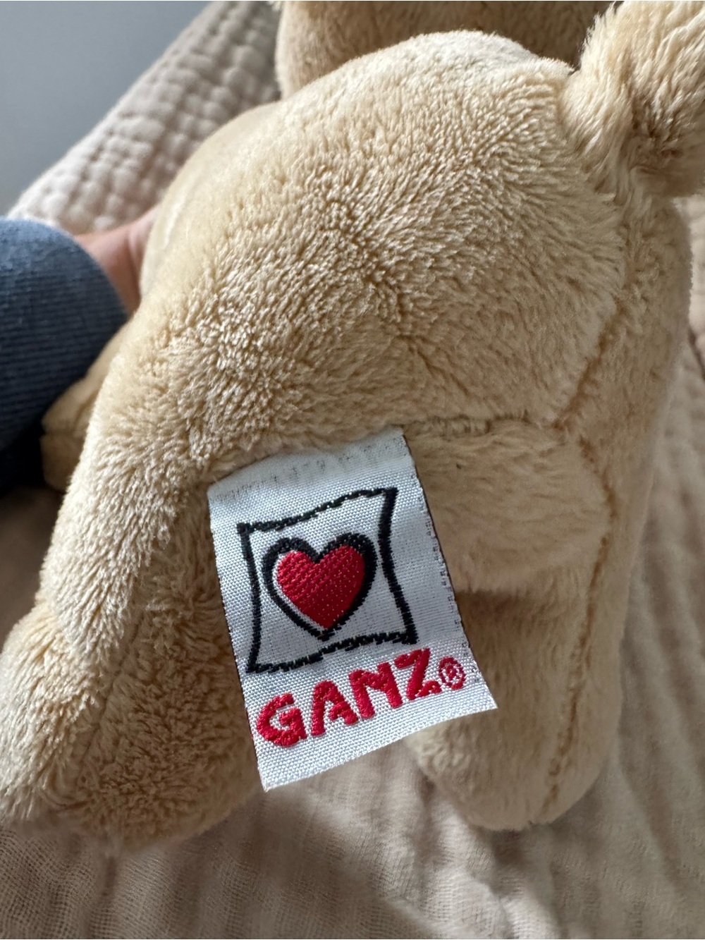 Ganz Webkinz Chihuahua Plush 🐶💕 Retired Collectible – No Code - Picture 4 of 4